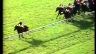 1971 Dewhurst Stakes [upl. by Ivers234]