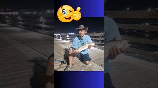 Catch More Fish Use High Visibilty Line saltwater fishing tips [upl. by Ahsenat126]