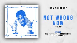 NBA YoungBoy  Not Wrong Now Ethika  The Prophesy [upl. by Narod]