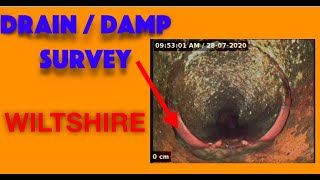 Rising damp survey and drain defects [upl. by Nanine805]