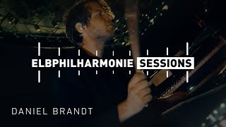 Elbphilharmonie Sessions  Daniel Brandt amp Eternal Something  Flamingo [upl. by Sallyanne177]