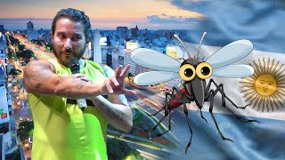 MOSQUITOS EN BUENOS AIRES  FelipeAvello en vivo desde BuenosAires Argentina 2024 [upl. by Aynav]