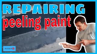 How to repair peeling paint how to fix peelingflaky paint [upl. by Asabi]