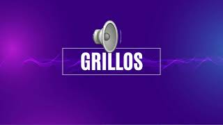 SONIDO MP3 GRILLOS  CRI CRI  GRILLOS CANTANDO  EFECTO DE SONIDO – USO LIBRE SIN COPYRIGHT [upl. by Allred29]