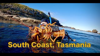 Lobster Hunting Tasmanias Remote SOUTH COAST Freediving  Hiking [upl. by Kimberlee]