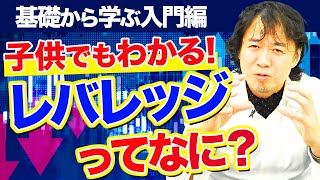 【子供でもわかるFX】レバレッジってなに？少ない資金で大きく儲けるメカニズムを徹底解説！ [upl. by Treva]