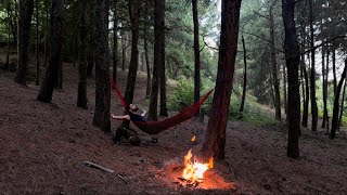 Solo camping in spring nature and relaxing [upl. by Megan]