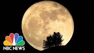 Why Tonights Full Moon Is So Super  NBC News [upl. by Infeld142]