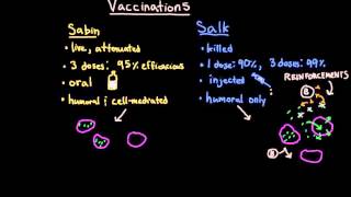 Polio Vaccinations [upl. by Novyad]