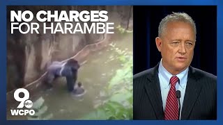 Prosecutor No charges against mother in Harambes death [upl. by Leonardi]