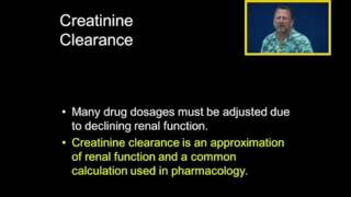 Creatinine Clearance [upl. by Chlores607]