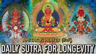 ☸️Daily Sutra For Longevityཚེ་མདོAmitayus Prayer [upl. by Keene530]