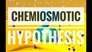 Chemiosmotic Hypothesis  ATP synthesis [upl. by Atem]