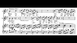 Sullaria Le Nozze di Figaro  WA Mozart Score Animation [upl. by Enorej573]