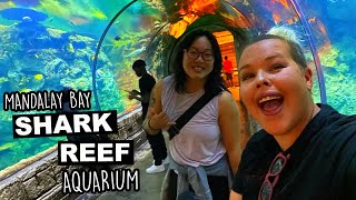 Mandalay Bay Shark Reef Aquarium  Las Vegas Underwater  Van Lifers Exploring Vegas [upl. by Chow]