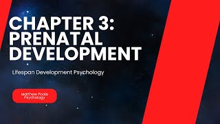 Lifespan Development Psychology  Chapter 3 Prenatal Development [upl. by Susejedairam]