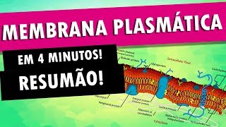 Lipídios e membranas biológicas Aula 7 parte 1 [upl. by Purdy]