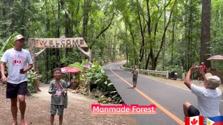 Manmade Forest in Bilar Bohol Philippines  Balikbayan 2024 [upl. by Forland]