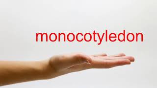 How to Pronounce monocotyledon  American English [upl. by Annawt]