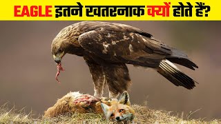 सभी ख़ौफ़ खाते है इस पक्षी से  Why Eagle Attacks are So Dangerous [upl. by Norb]