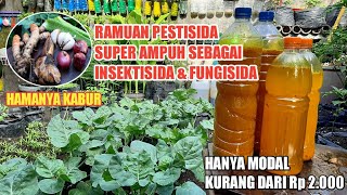 Ramuan Pestisida Super Ampuh Berfungsi Sebagai Insektisida dan Fungisida  Hama amp Jamur KO [upl. by Tala]