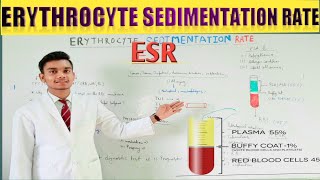 erythrocytes sedimentation rate ESR or sed rate test Hindidetailed explanation [upl. by Mercedes594]