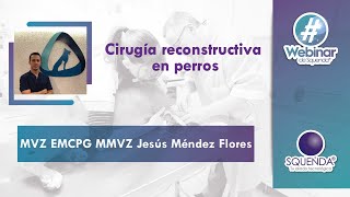 Cirugía Reconstructiva En Perros  MVZ EMCPG MMVZ Jesús Méndez Flores [upl. by Bertelli]