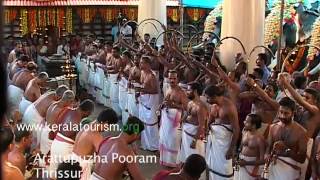 Panchari Melam during Arattupuzha pooram [upl. by Shaum]