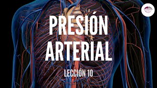 10 PRESIÓN ARTERIAL ESTRUCTURA Y FUNCIÓN DEL SISTEMA CARDIOVASCULAR [upl. by Karee]