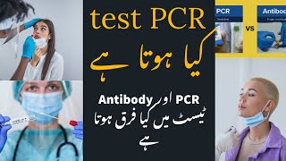 PCR test kya hota hai antibody test se kya farq hai [upl. by Hayley]