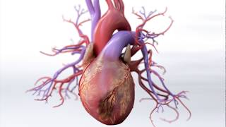 What is Coronary Artery Disease  Mechanism of Disease [upl. by Standish]