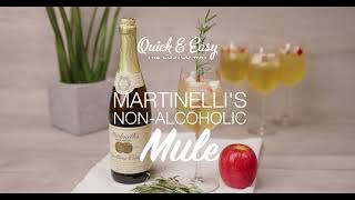 Quick amp Easy Martinelli’s NonAlcoholic Mule [upl. by Allehc]