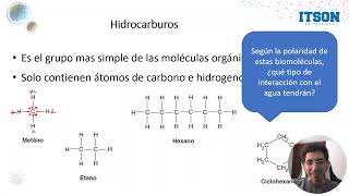 Hidrocarburos y Grupos funcionales [upl. by Jacquelynn960]