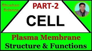 Part 2  Cellular Level of Organization  Plasma Membrane Structure amp Functions  B Pharm  Nursing [upl. by Noslrac]