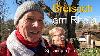 Breisach am Rhein [upl. by Risteau]