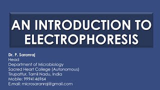 An Introduction to Electrophoresis [upl. by Ennailuj990]