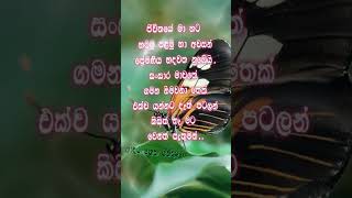 මගේ එකම අවසන් පැතුම 🙏 feelings love [upl. by Aztiley676]