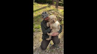 Unearth Tuscanys Finest Truffles with a Truffle Hunting Dog 🐶 [upl. by Ahsrop]