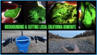 Hover Bucket And The Bowenite Quest  Rockhounding California River Beds By  Quest For Details [upl. by Bert665]