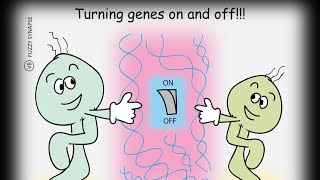 Class 28 What are OPERONS Introduction to Operons [upl. by Eednac]