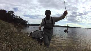 Young Guns Fishing Adventures  Todd Young  Catching Trout at Thompsons Creek Dam [upl. by Doner]