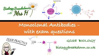 Monoclonal Antibodies with Exam Questions [upl. by Justus]