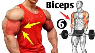 6 Best Exercises Bigger Biceps At Gym  Biceps Workout [upl. by Tarkany]