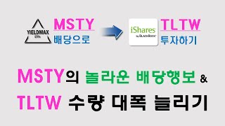 챌린지4 MSTY 배당으로 TLTW 투자하기  23개월차 ft MSTY의 놀라운 배당행보 [upl. by Notxam]