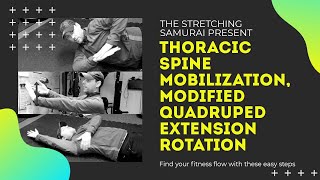 Thoracic Spine Mobility Exercise  Mod Quadruped Extension Rotation [upl. by Aerehs]