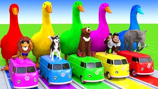 5 Giant Duck CartoonCowElephantTigerLionDinosaurPaint Wild Animals Crossing Fountain Animation [upl. by Netsriik]