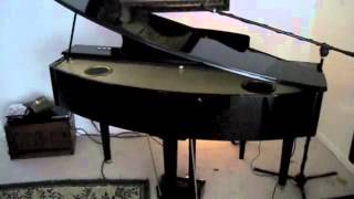 Suzuki MDG100 Micro Grand Piano [upl. by Earahs]