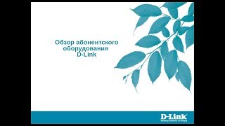 Обзор абонентского оборудования DLink [upl. by Rebeh]