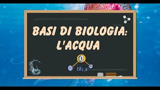 Introduzione alla BIOLOGIA la molecola dell’ ACQUA e le sue proprietà chimiche [upl. by Graf]