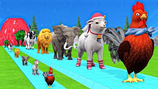 Paint amp Animals CowGorillaElephantLionTigerDinosaur Fountain Crossing Transformation Cartoon [upl. by Ennylyak]